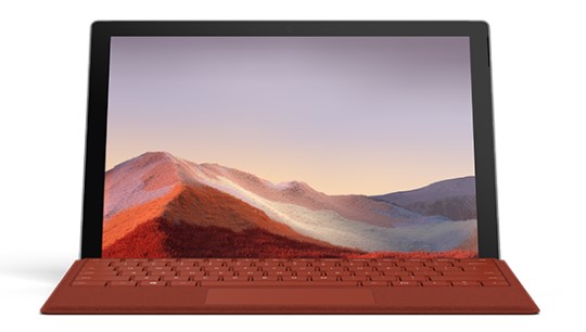 围场清洁和维护 Surface